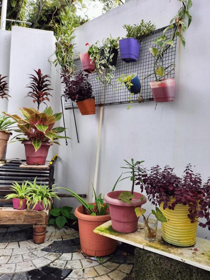 Kochi Joseys Homestay מראה חיצוני תמונה